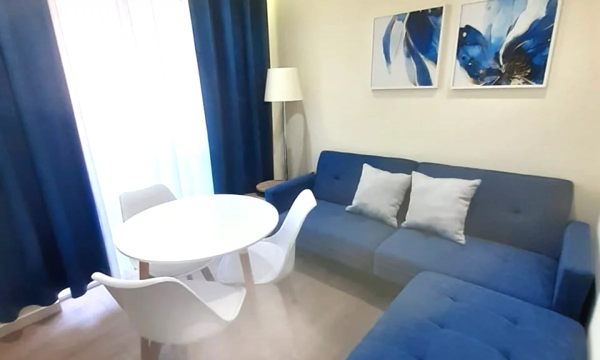 Shtepi me qera Apartament ne Tirane, 1+1, Mobilimi E mobiluar, Pagesa 490  Euro.