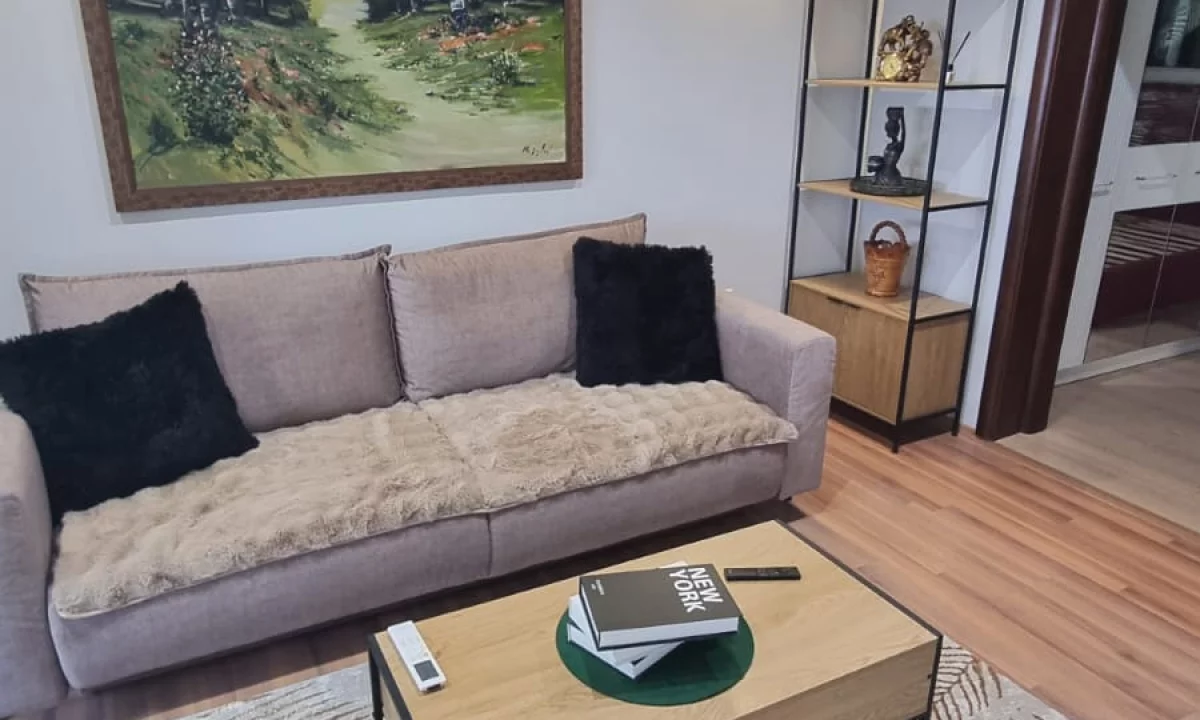 Shtepi me qera Apartament ne Tirane, 1+1, Mobilimi E mobiluar, Pagesa 600  Euro.