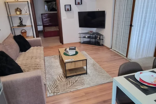 Shtepi me qera Apartament ne Tirane, 1+1, Mobilimi E mobiluar, Pagesa 600  Euro.