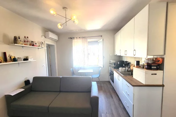 Shtepi me qera Apartament ne Tirane, 1+1, Mobilimi E mobiluar, Pagesa 550  Euro.