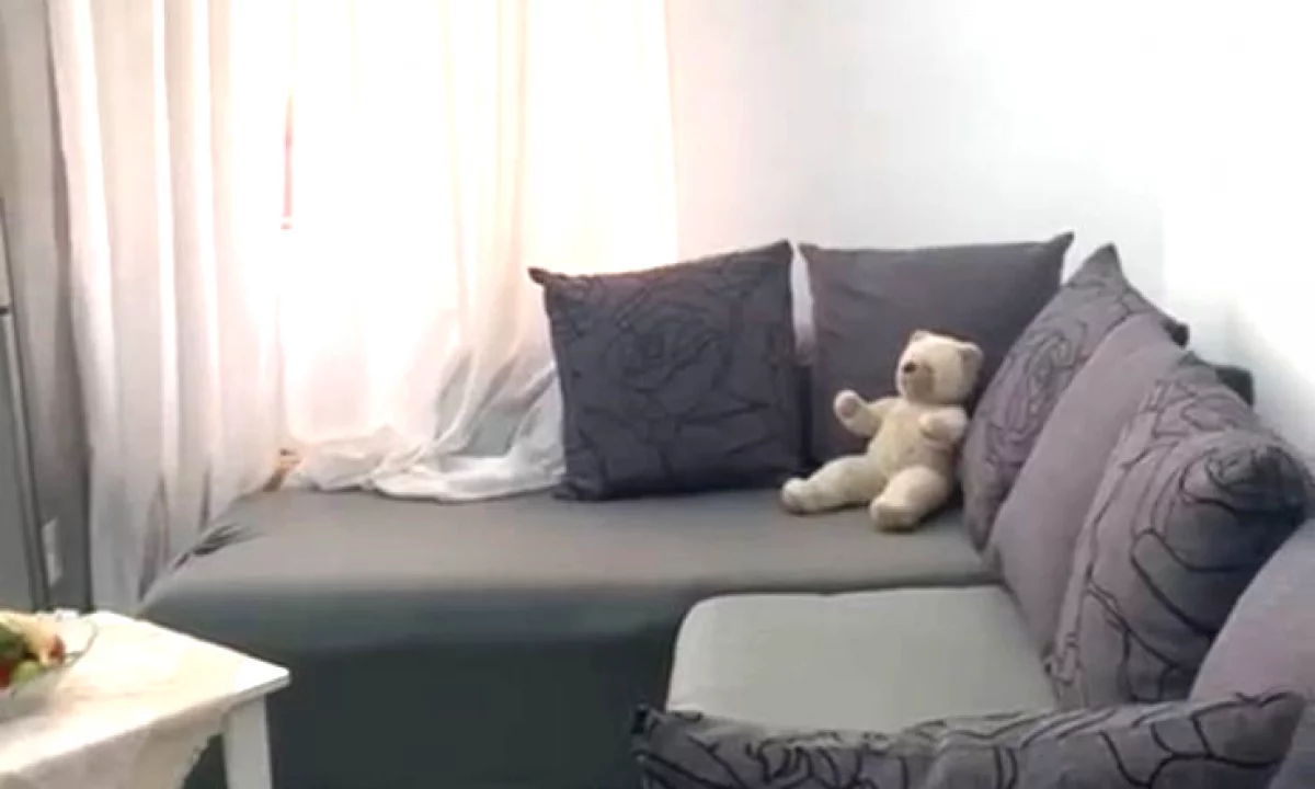 Shtepi me qera Apartament ne Tirane, 1+1, Mobilimi E mobiluar, Pagesa 500  Euro.