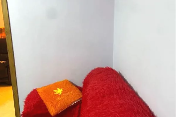 Shtepi me qera Apartament ne Tirane, 1+1, Mobilimi E mobiluar, Pagesa 400  Euro.