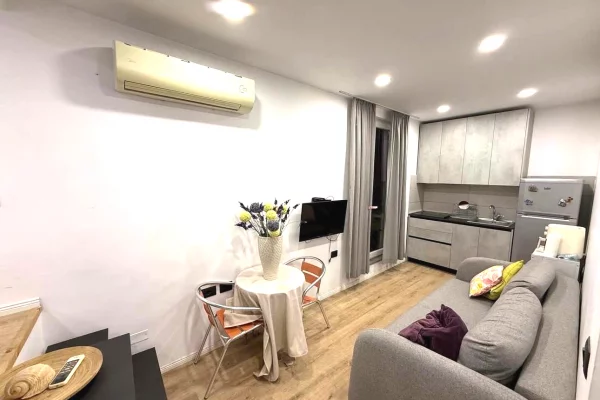 House for Rent 1+1 in Tirana - 450 Euro
