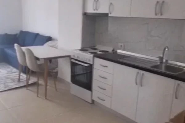 Shtepi me qera Apartament ne Tirane, 1+1, Mobilimi E mobiluar, Pagesa 400  Euro.
