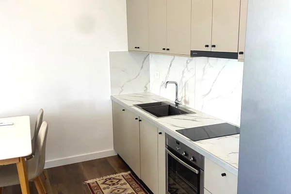 Apartment for rent in Tirana 1+1, Furnished