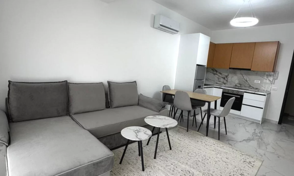 Shtepi me qera Apartament ne Tirane, 1+1, Mobilimi E mobiluar, Pagesa 450  Euro.