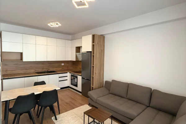 Shtepi me qera Apartament ne Tirane, 1+1, Mobilimi E mobiluar, Pagesa 450  Euro.