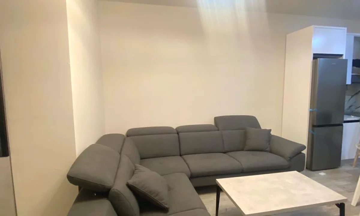 Shtepi me qera Apartament ne Tirane, 1+1, Mobilimi E mobiluar, Pagesa 450  Euro.