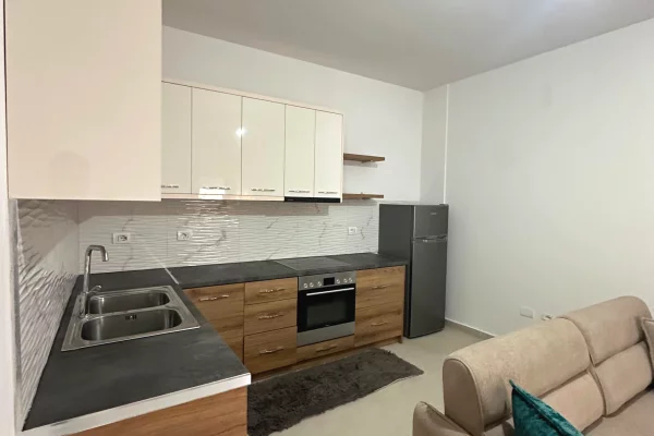 Shtepi me qera Shtepi Private ne Tirane, 1+1, Mobilimi E mobiluar, Pagesa 400  Euro.