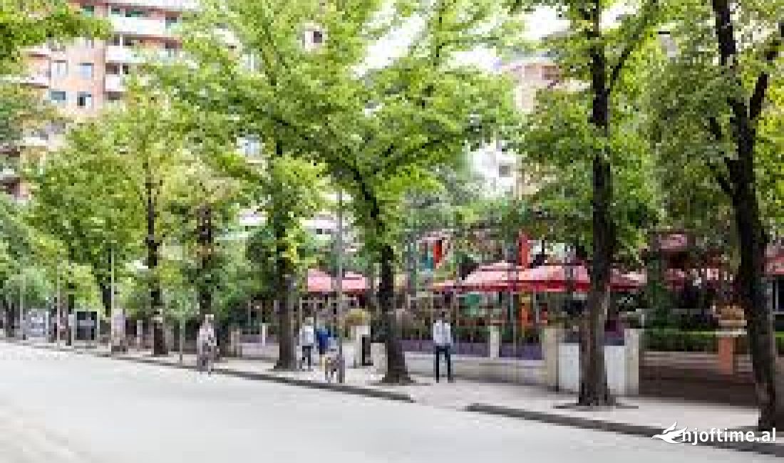 Japim me qira Ambient komercial ne zonen e ish Bllokut!