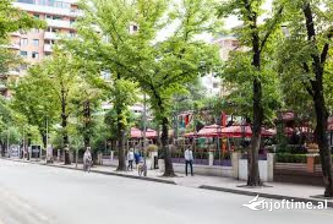 Ambiente Commerciale in Affitto 3+1 a Tirana - 7,000 Euro