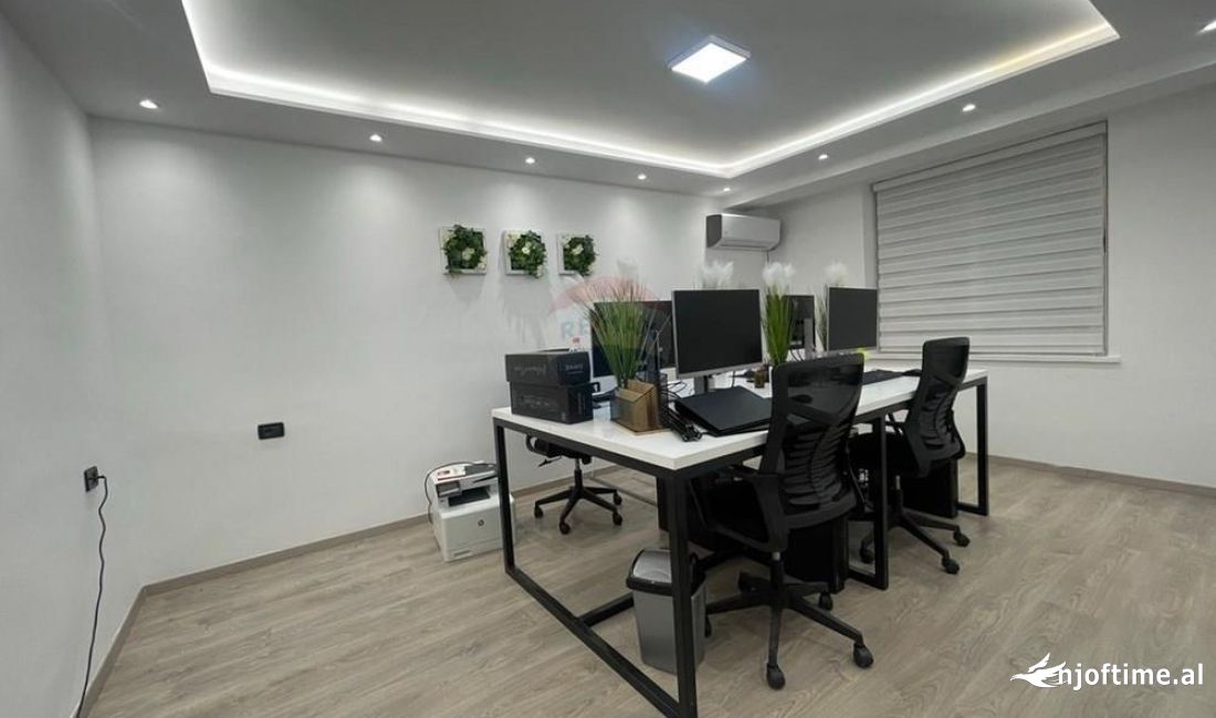 Zyre me Qira Sheshi Willson,