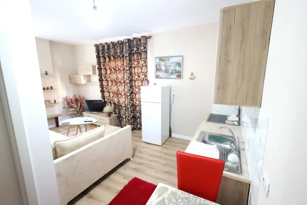 Apartment for rent in Tirana 1+1, Furnished