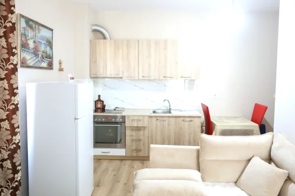 Apartment for rent in Tirana 1+1, Furnished