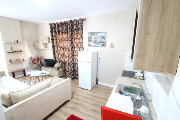 Apartment for rent in Tirana 1+1, Furnished