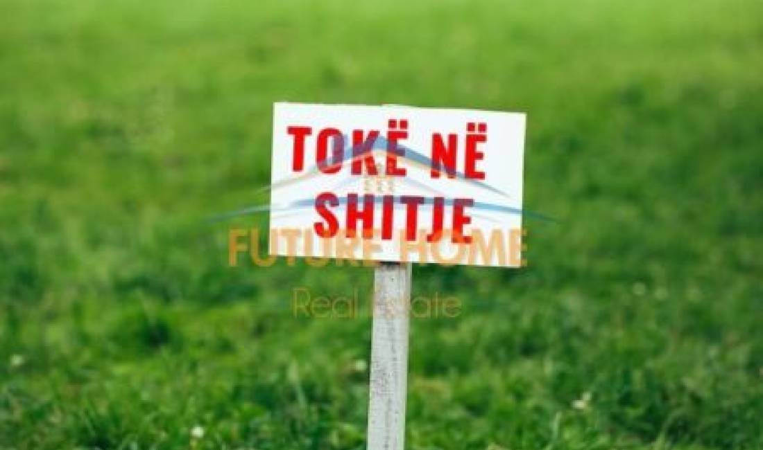 Shitet, Toke Are, Laknas, Tirane. AREA37339 