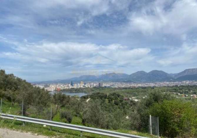 Shitet, Ullishte, në Sauk, Tiranë. AREA40420 