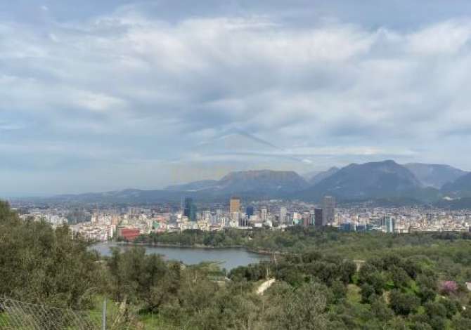 Shitet, Ullishte, ne Sauk, Tirane. AREA40420 