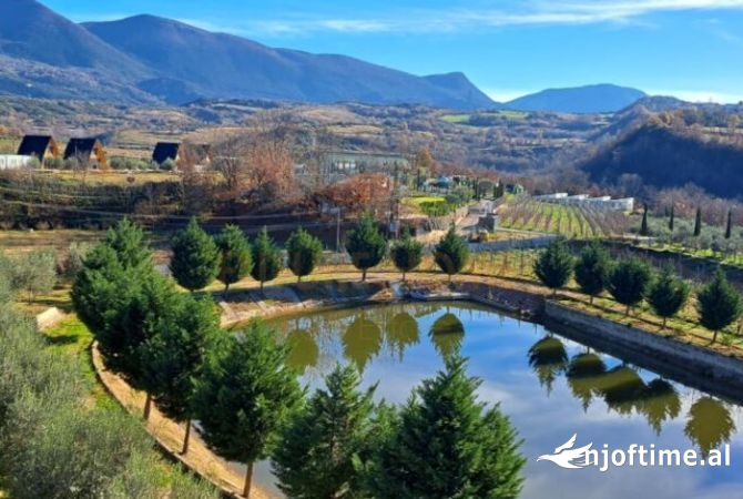 Shitje, Hotel 4 kateshe, Mullet, Tirane AREA42230   