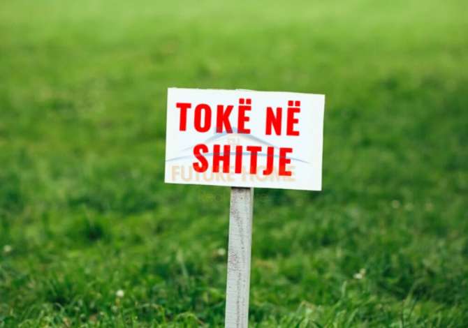 Shitet, Toke, Gjiri i Lalzit, Durrës. AREA44138   