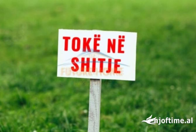 Shitet, Toke Are, Babrru, Tirane AREA45769   