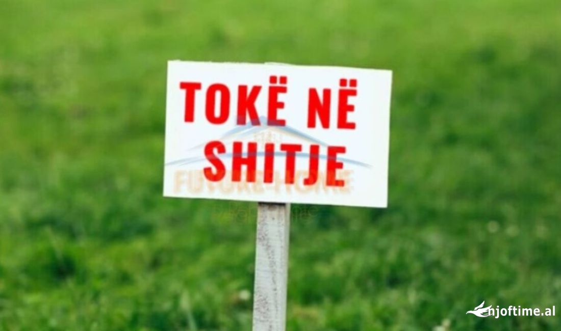 Shitet, Toke Are, Babrru, Tirane AREA45769   
