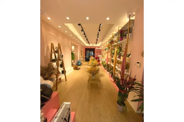 Business Property in Sale 1+1 in Tirana - 30,000 Euro