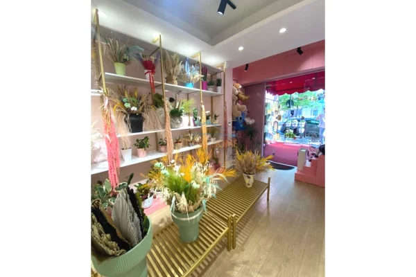 Shitet, Biznes, Dyqan Lulesh, ne Rrugen Bardhyl, Tirane.