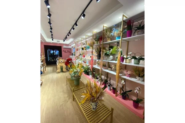 Shitet, Biznes, Dyqan Lulesh, ne Rrugen Bardhyl, Tirane.