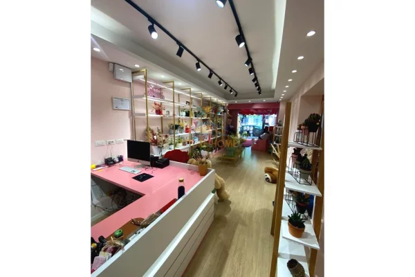 Shitet, Biznes, Dyqan Lulesh, ne Rrugen Bardhyl, Tirane.