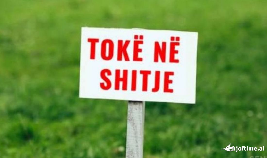 Shitet Toke ne Vaqarr