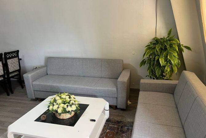 Shtepi me qera Apartament ne Tirane, 1+1, Mobilimi E mobiluar, Pagesa 500  Euro.