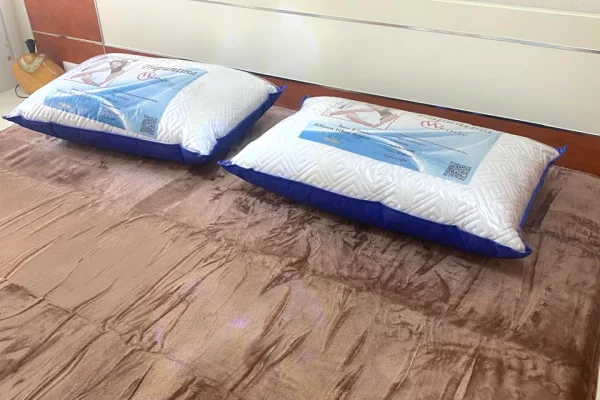 Shtepi me qera Apartament ne Tirane, 1+1, Mobilimi E mobiluar, Pagesa 650  Euro.