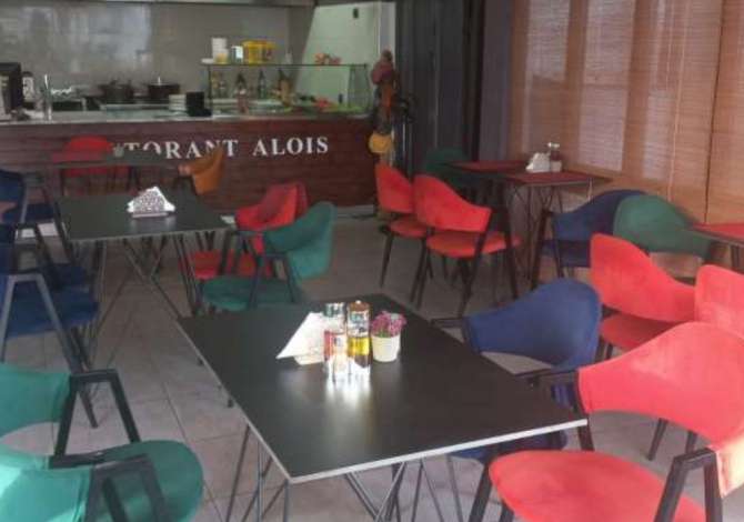 Ambient biznesi me qera 2+1 ne Tirane - 600 Euro