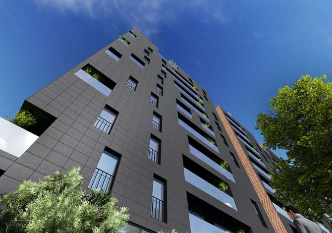 Ambient biznesi me qera 1+1 ne Tirane - 550 Euro