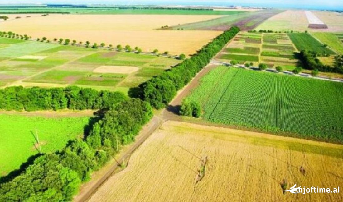 💥 TOKE TRUALL PER SHITJE NE VISHAJ