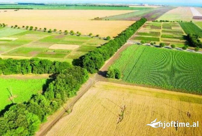 💥 TOKE TRUALL PER SHITJE NE VISHAJ