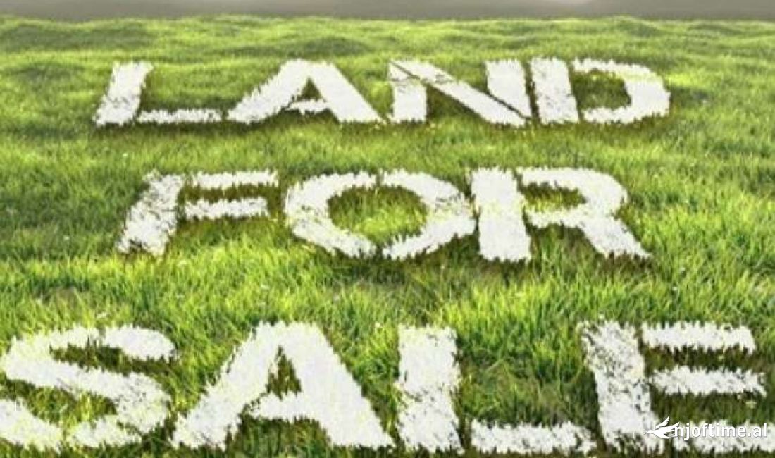 ❗TOKE PER SHITJE NE YRSHEK❗