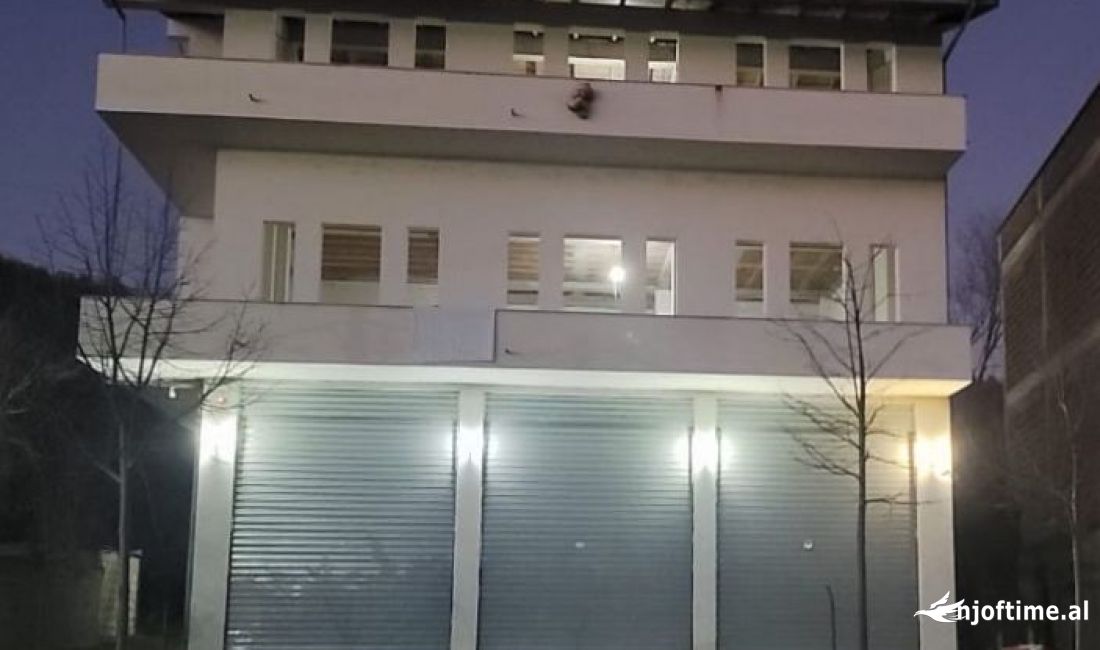 GODINE BIZNESI ME QERA NE MULLET