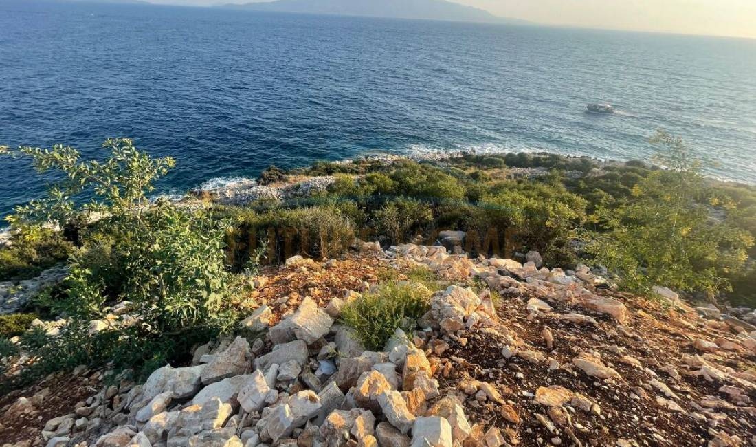 Shitet, Toke, Sarande