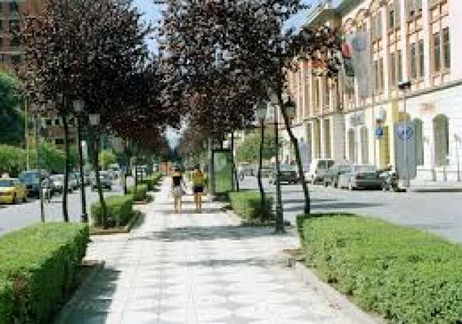 510m2 ambjent biznesi per qera te rruga e kavajes