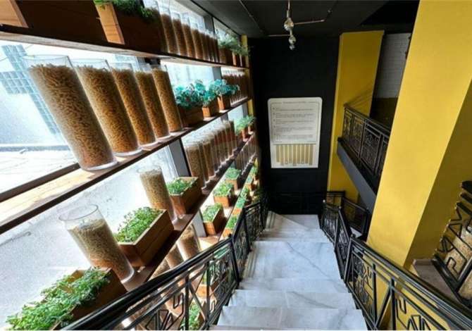Ambient biznesi me qera 2+1 ne Tirane - 8,000 Euro