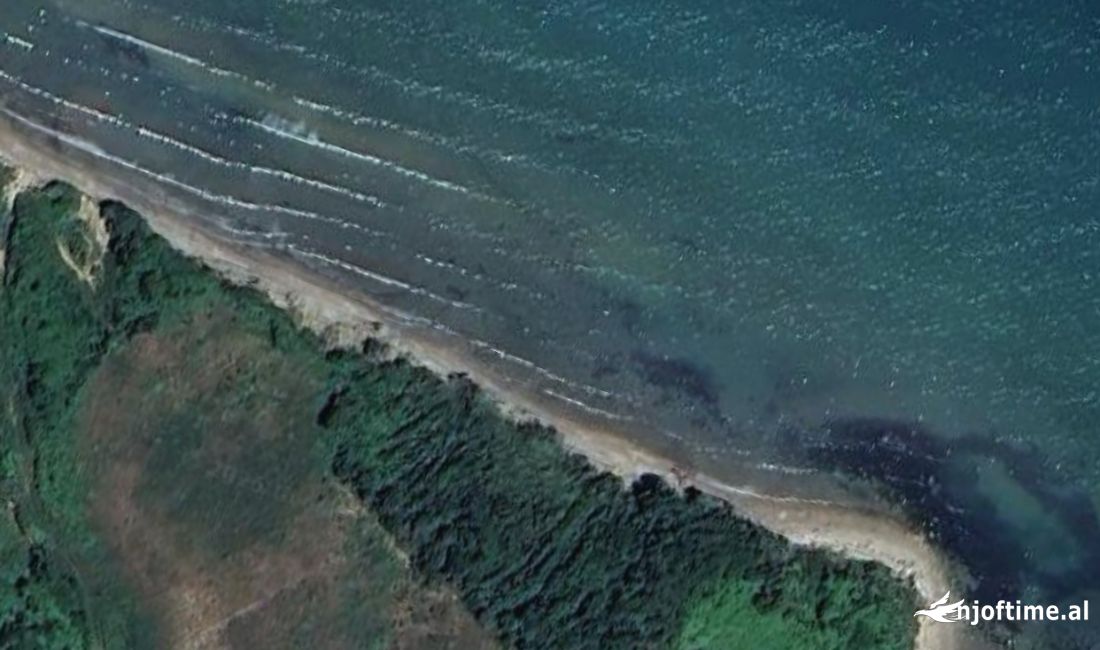 Toke per shitje, Kepi Rodonit