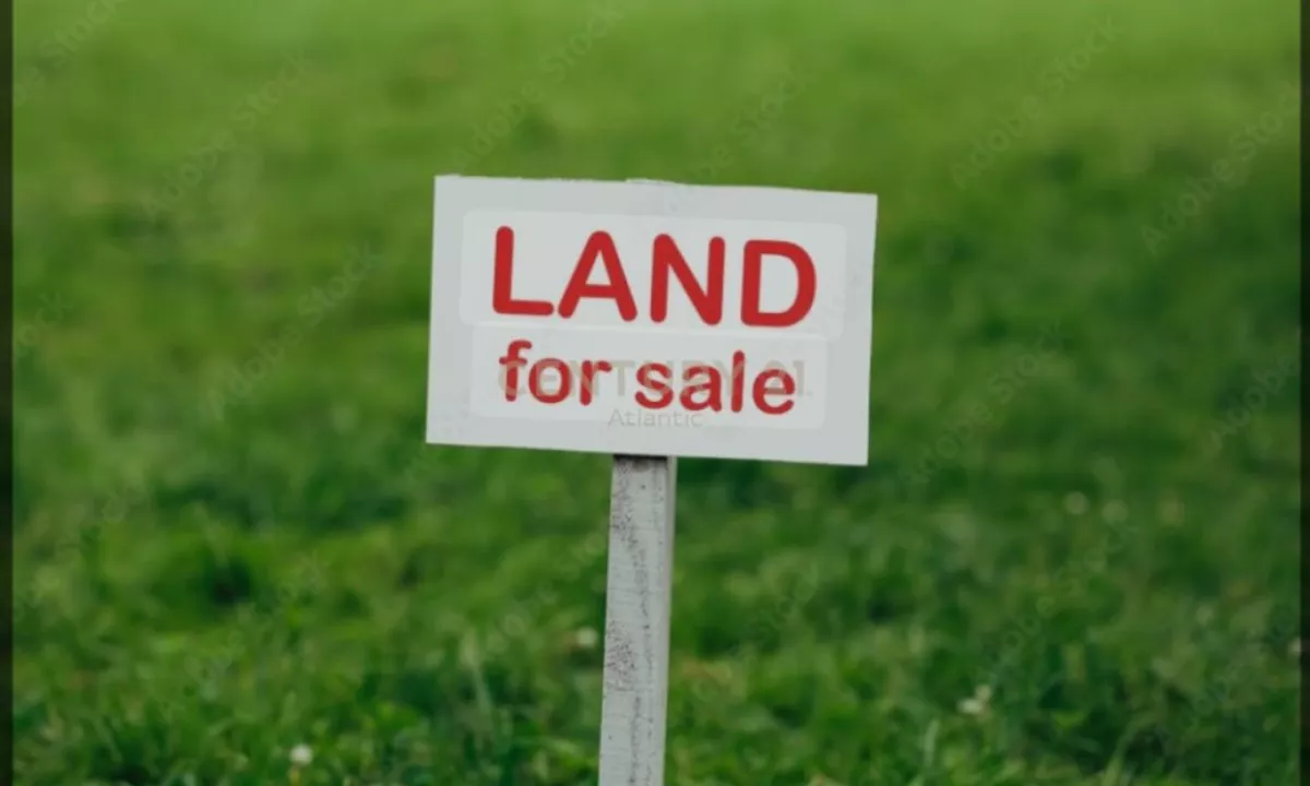 Toke truall ne shitje, Borsh