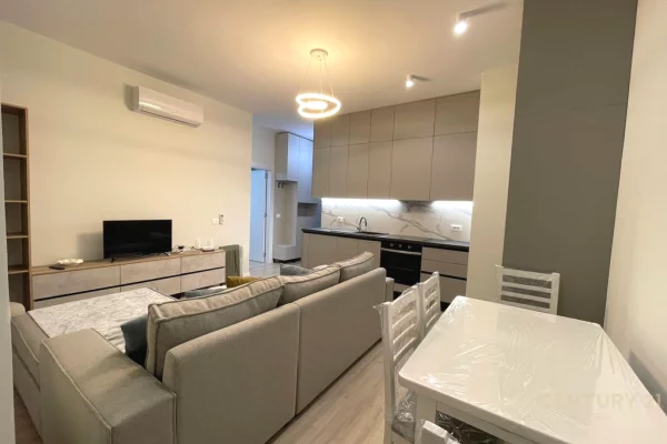 Shtepi me qera Apartament ne Tirane, 1+1, Mobilimi E mobiluar, Pagesa 700  Euro.