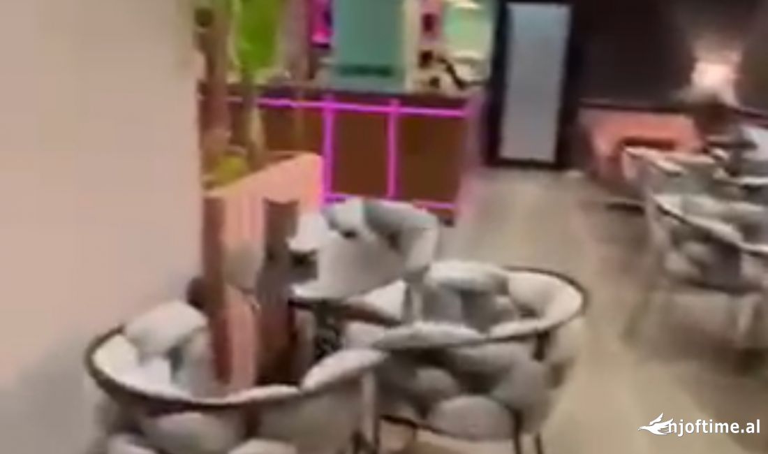 Pallatet e verdha , lokal per shitje