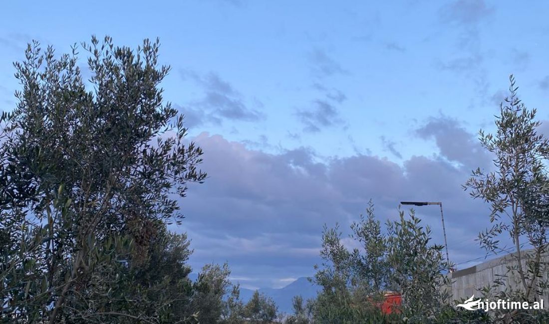 Yzberisht shitet toke 25Euro/m2