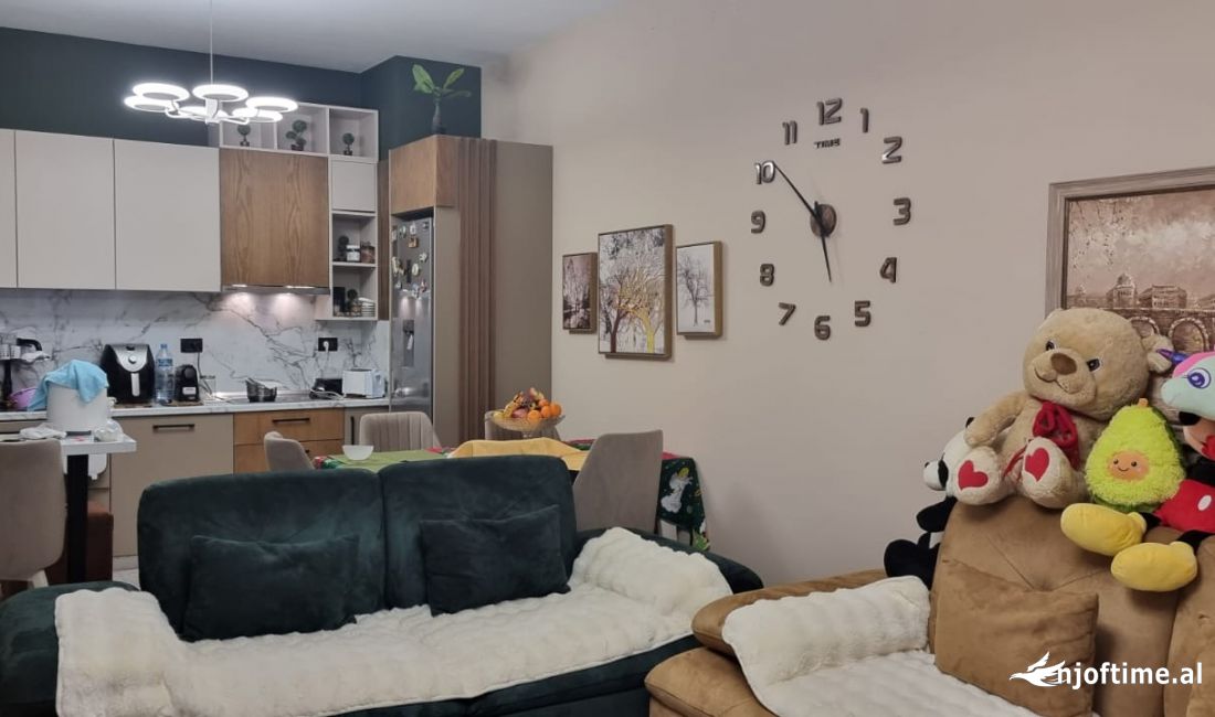 Shtepi ne shitje Apartament ne Tirane, 1+1, Mobilimi E mobiluar, Pagesa 120,000  Euro.