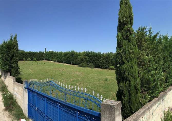 Truall ose Toke ne Tirane - 100,000 Euro