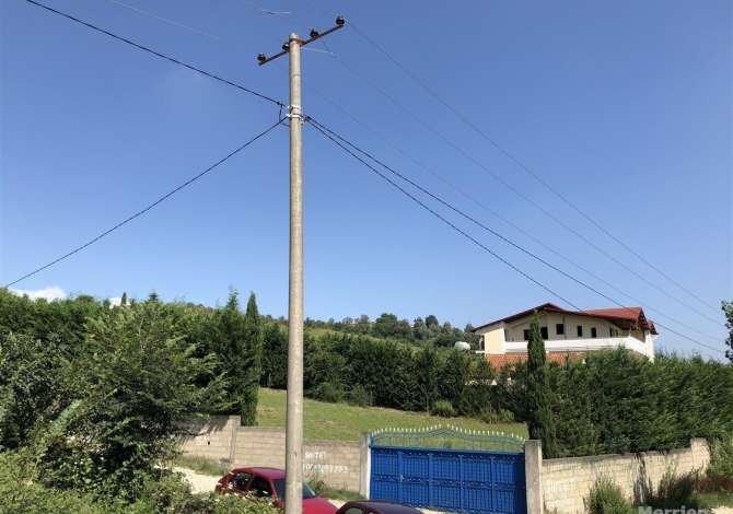 Truall ose Toke ne Tirane - 100,000 Euro